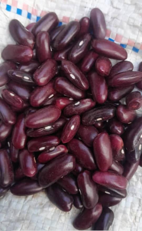 Maharage Mekundu Meusi